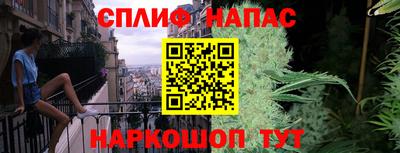 гидра Можайск