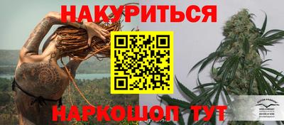 дживик Моздок