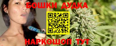 дживик Моздок
